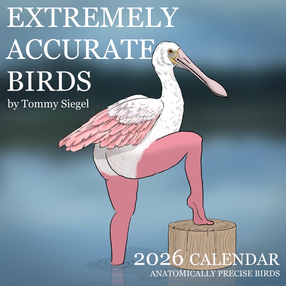 2026 Extremely Accurate Birds Calendar